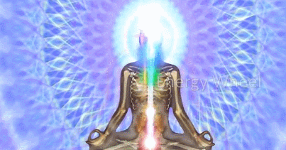 Acupuntura Multidimensional